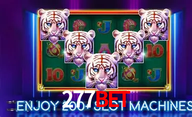 277BET: A Experiência de Casino com Jogos de Mesa ao Vivo